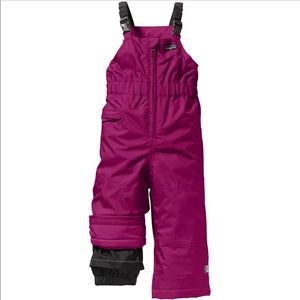 Patagonia Snow Bib Cold weather Overalls